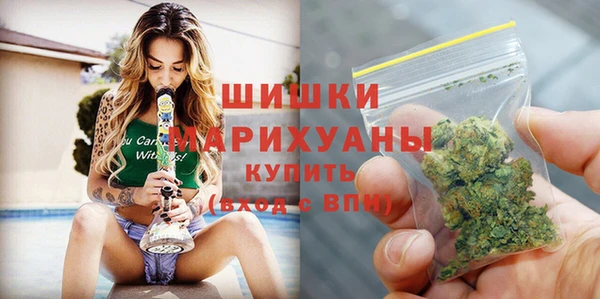 ГАЛЛЮЦИНОГЕННЫЕ ГРИБЫ Заводоуковск