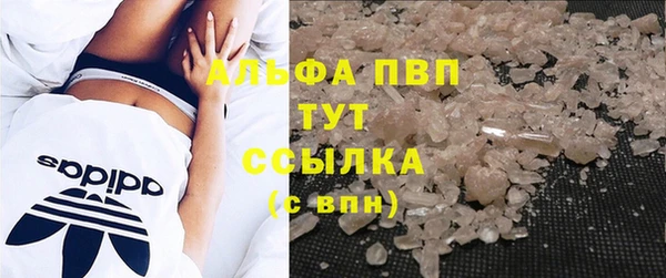 ГАЛЛЮЦИНОГЕННЫЕ ГРИБЫ Заводоуковск