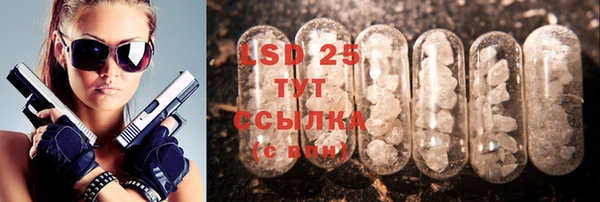 ГАЛЛЮЦИНОГЕННЫЕ ГРИБЫ Заводоуковск